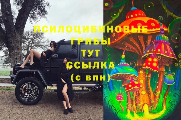 амф Коряжма