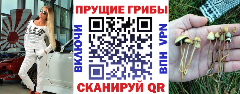 Купить  Балей  Галлюциногенные грибы прущие грибы 